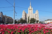 Цветы Москвы в архитектурном обрамлении